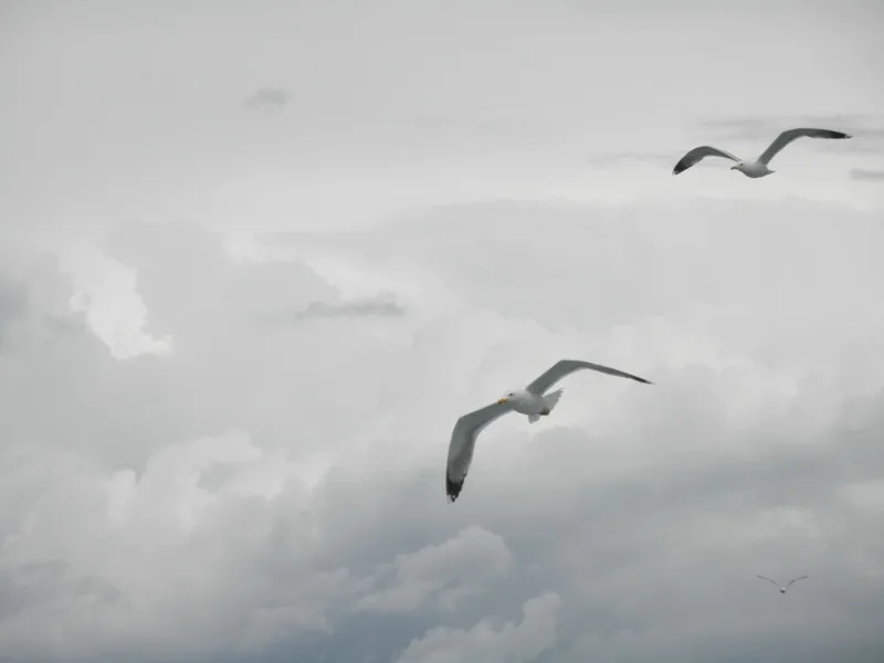 Goli otok, Grgur, 25 5 2013 035