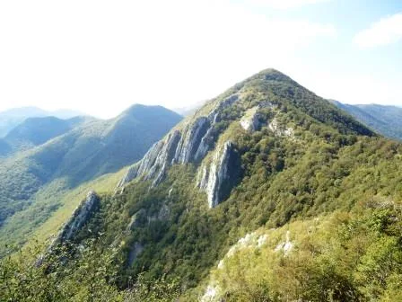 Images/myfolder/izvjesca/srednjivelebit/DSC08767