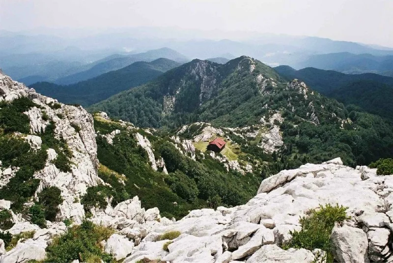 risnjak1