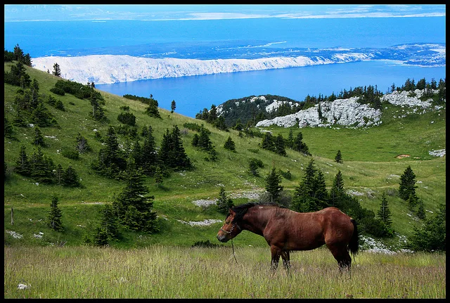 6017242662 ac49a9b468 z