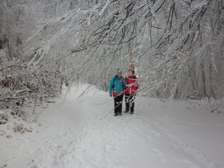 16707691 1219767604759363 837293317674429498 o