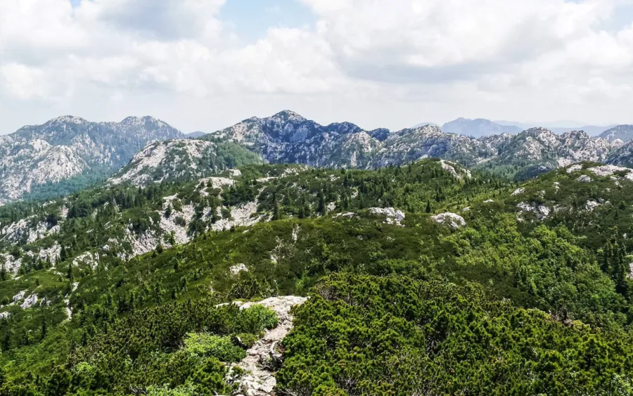 Sjeverni Velebit 2018