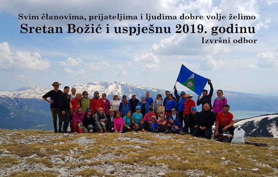bozic-2018