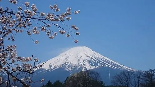 fuji