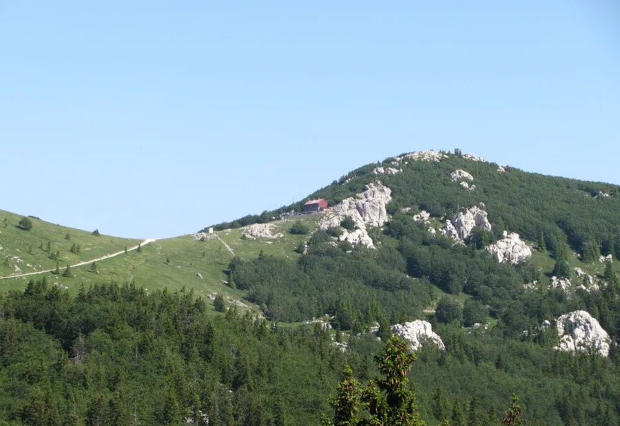 04 13 najava zavizan