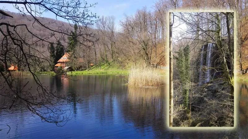 2019 12 nepoznati papuk naslovna