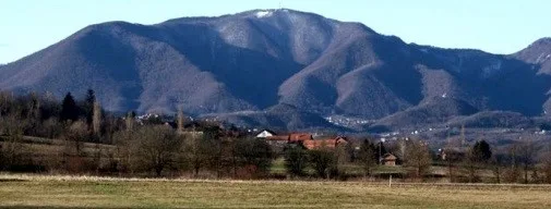 ivanscica