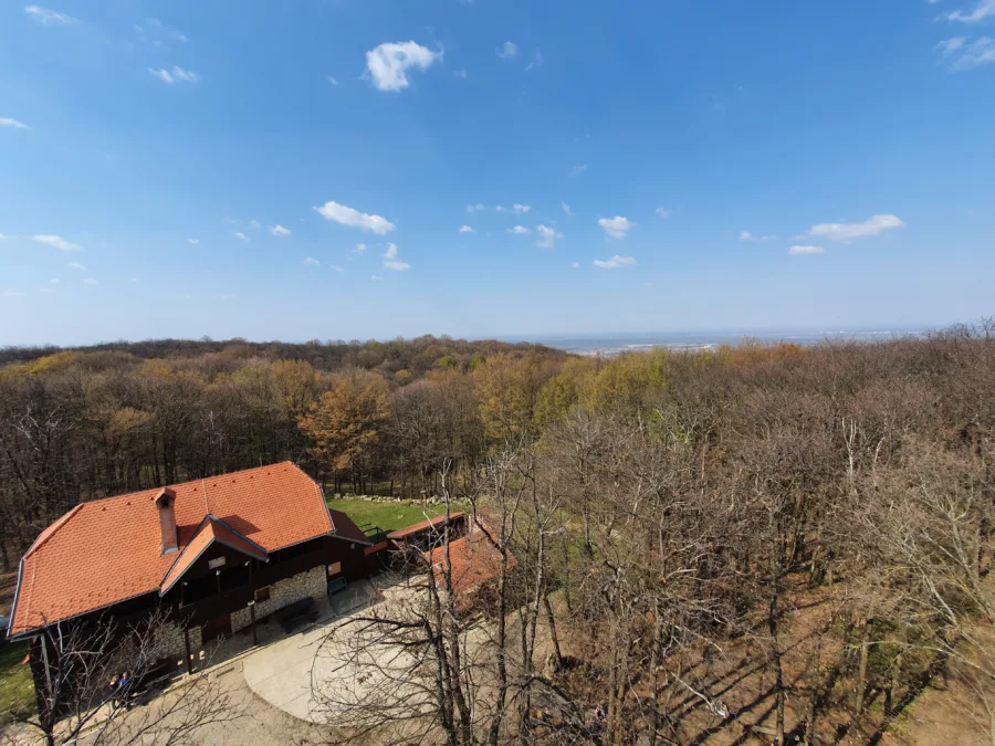 92363544 719007408905361 7559928119327457280 n