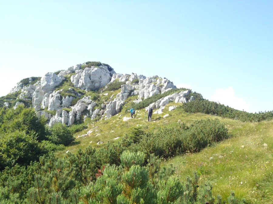 Images/myfolder/izvjesca 2020/07 29 Risnjak/DSC01139