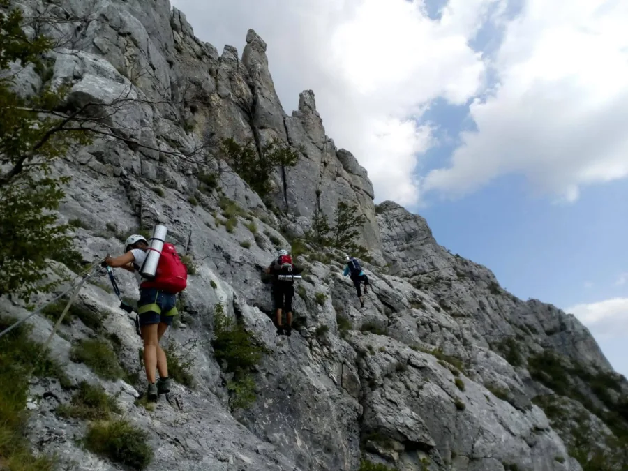 118400632 352453642608907 6832027909527197022 n