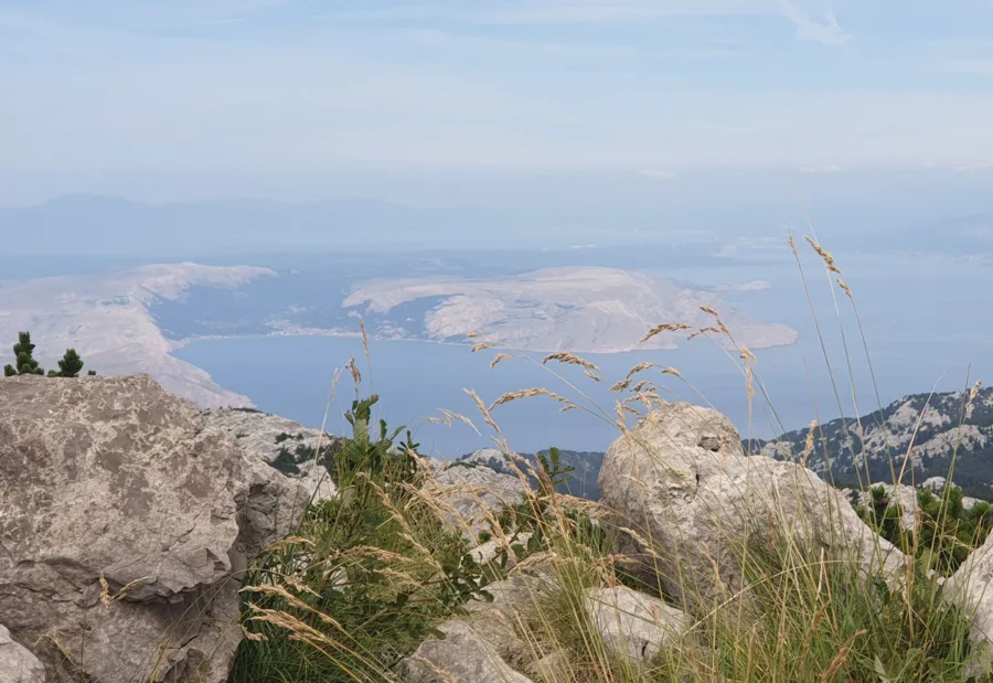 2020 08 13 Oltari 10