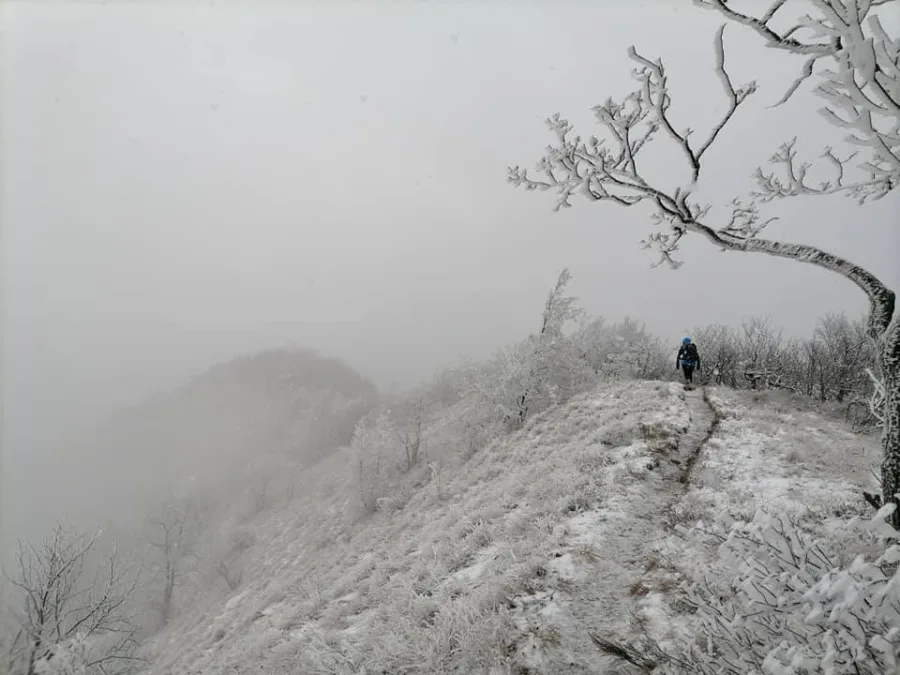 145855475 242703377385696 235245626716875437 n