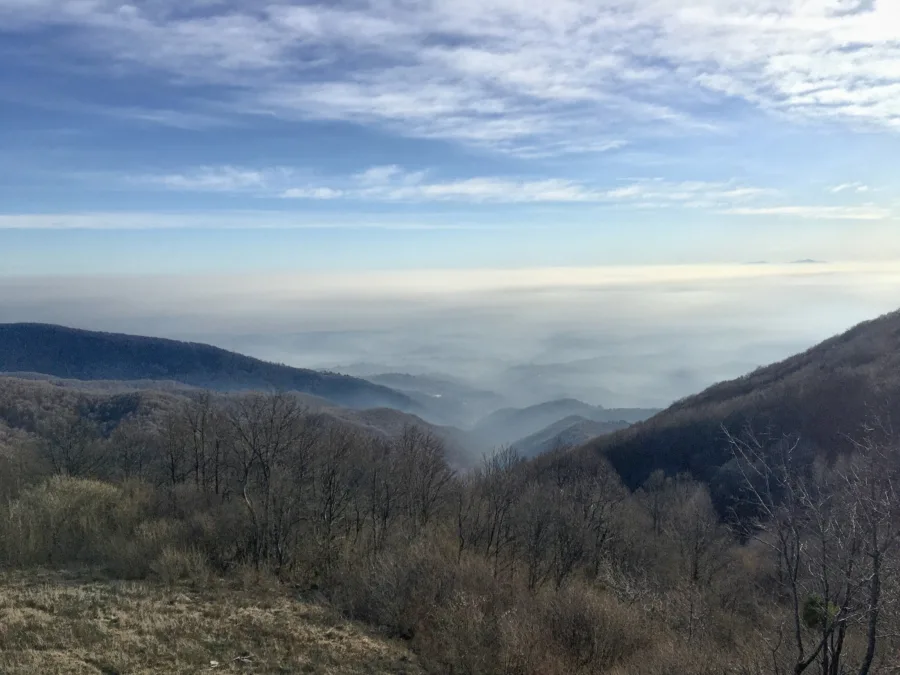 81183992 2507998172791691 9140776912354803712 o