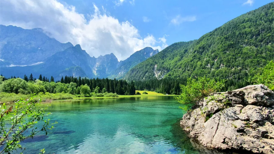 HPS 0000s 0047 20210726 123955 1536x864