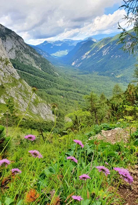 Hpd3 0012 20210825 152549 pvwjfwgu5hhjpp5rql113cxer55o8iiuo1kdx03wt4