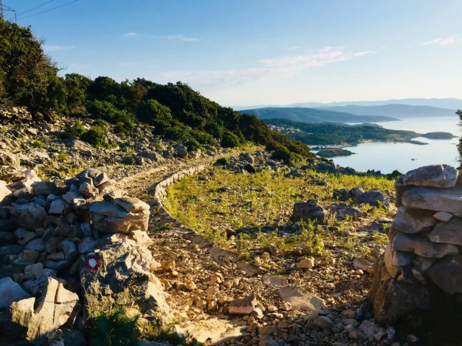 384474311 805617838025358 31972103790744832 n