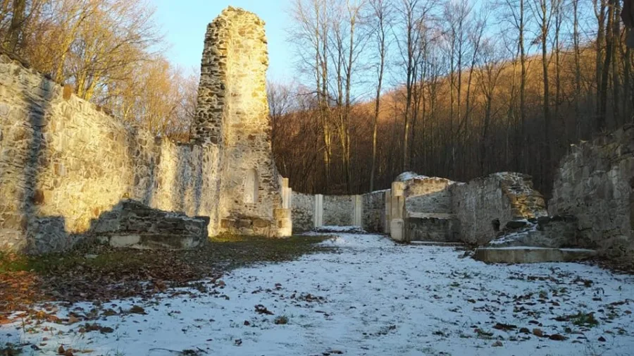 328439634 1915850805433636 9027454101275225417 n