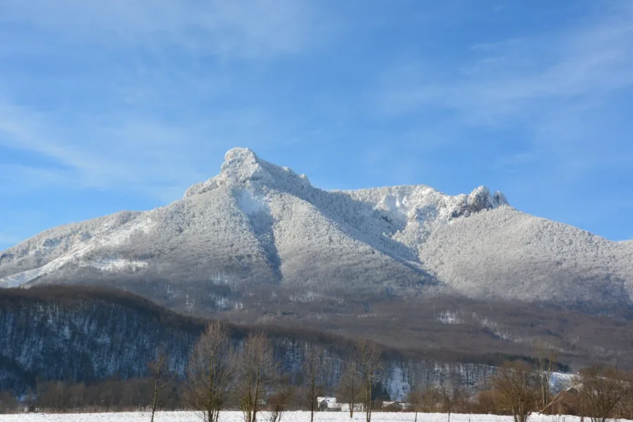 418313588 860086599245148 6759428141265789919 n