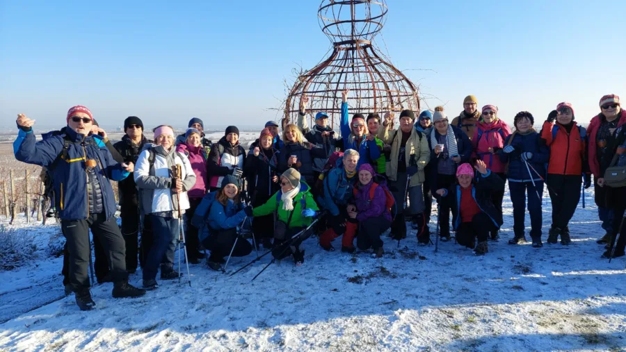 421145104 1782947962226656 967012283600479003 n