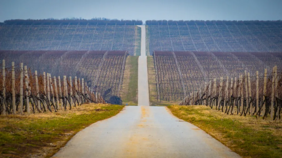 428700654 889310189656122 6639430169679997311 n